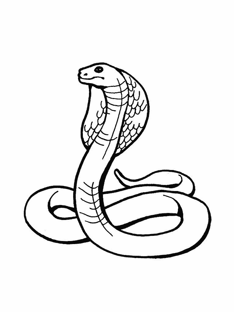 Snake Pages Coloring 3