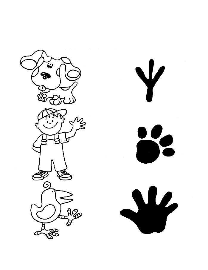 Blues Clues Pages Coloring 4