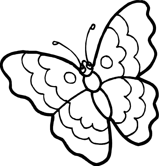 Butterfly Pages Coloring 2