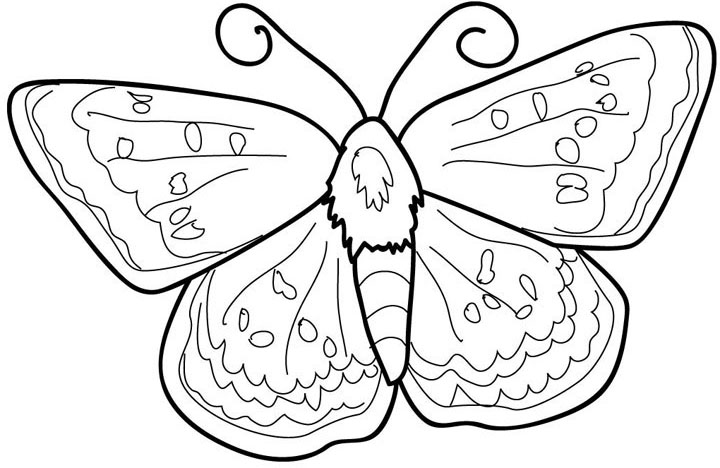 Butterfly Pages Coloring 8