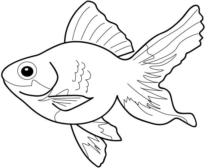 Fish Pages Coloring 5