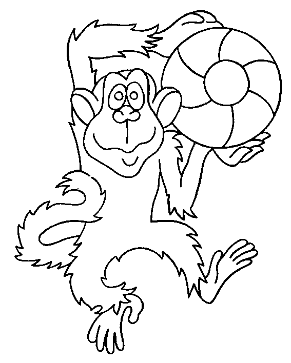 Monkey Pages Coloring 4