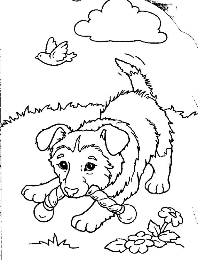 Puppy Pages Coloring 6