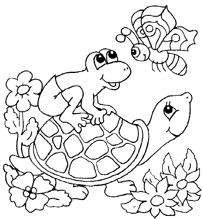 Turtle Pages Coloring 2